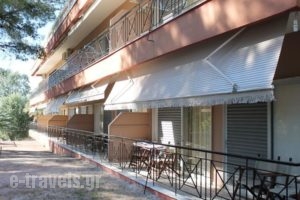Mango Hotel_accommodation_in_Hotel_Macedonia_Halkidiki_Kassandreia