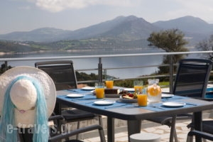 Thealos Village_best deals_Apartment_Ionian Islands_Lefkada_Lefkada Rest Areas