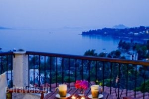 Villa Kavourakia_accommodation_in_Villa_Sporades Islands_Skiathos_Skiathoshora