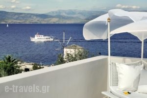 Mayor Mon Repos Palace - Adults Only_best prices_in_Hotel_Ionian Islands_Corfu_Corfu Chora