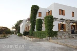 Swiss Home Hotel_best deals_Hotel_Cyclades Islands_Paros_Paros Chora