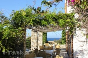 Swiss Home Hotel_holidays_in_Hotel_Cyclades Islands_Paros_Paros Chora