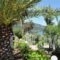 BBB - Barbati Blick Bungalows_lowest prices_in_Hotel_Ionian Islands_Corfu_Corfu Rest Areas