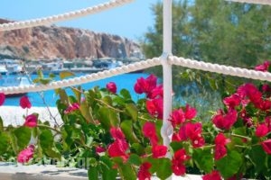 Aeolos Beach Hotel_best prices_in_Hotel_Cyclades Islands_Folegandros_Folegandros Chora