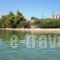 Elia Apartment_travel_packages_in_Macedonia_Halkidiki_Nikiti