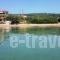 Elia Apartment_best prices_in_Room_Macedonia_Halkidiki_Nikiti