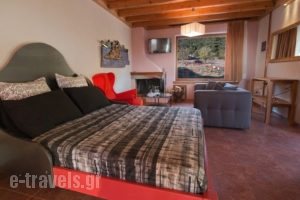 Livadi Suites_best prices_in_Hotel_Central Greece_Viotia_Arachova