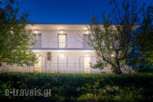 Erieta_best prices_in_Apartment_Ionian Islands_Zakinthos_Laganas