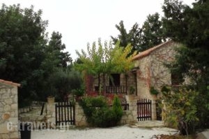 Manolis House_best deals_Room_Crete_Chania_Kalyves