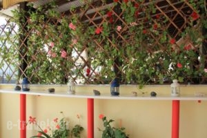 Dias Apartment_travel_packages_in_Macedonia_Pieria_Makrigialos