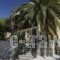 Vagia Hotel_accommodation_in_Hotel_Piraeus islands - Trizonia_Aigina_Aigina Rest Areas