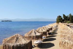 Grand Bleu_best deals_Hotel_Central Greece_Evia_Eretria