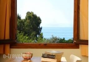 Hotel Dimoula_best deals_Hotel_Thessaly_Magnesia_Kala Nera