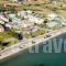 Zorbas Beach Hotel_lowest prices_in_Hotel_Dodekanessos Islands_Kos_Kos Rest Areas