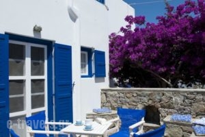 Gryparis' Club Apartments_lowest prices_in_Apartment_Cyclades Islands_Mykonos_Ornos