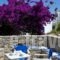 Gryparis' Club Apartments_best prices_in_Apartment_Cyclades Islands_Mykonos_Ornos