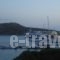 Studio Poseidon_best deals_Hotel_Dodekanessos Islands_Lipsi_Lipsi Chora