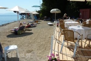 Oasis Hotel_best deals_Hotel_Ionian Islands_Corfu_Corfu Rest Areas