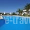 Eri Hotel_accommodation_in_Hotel_Cyclades Islands_Paros_Paros Chora