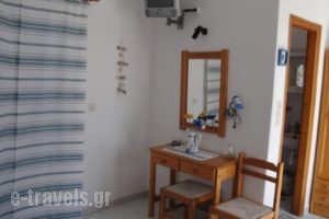 Alfa Rooms_best prices_in_Room_Cyclades Islands_Paros_Naousa