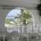 Alfa Rooms_holidays_in_Room_Cyclades Islands_Paros_Naousa