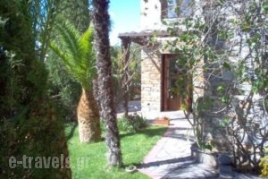 Villa Electra_holidays_in_Villa_Thessaly_Magnesia_Chorto