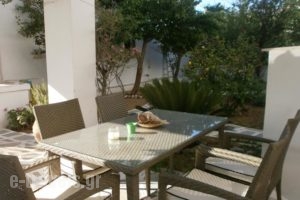 Studios Eliza_best deals_Hotel_Cyclades Islands_Serifos_Livadi