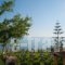 Zarkadis Beach Apartments_lowest prices_in_Apartment_Ionian Islands_Zakinthos_Zakinthos Rest Areas