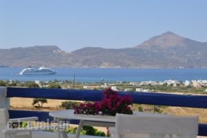 Iliana Rooms & Apartments_best prices_in_Room_Cyclades Islands_Milos_Milos Chora