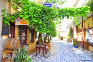 Villa NN_travel_packages_in_Epirus_Preveza_Preveza City