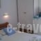 Pension Rena_best deals_Hotel_Cyclades Islands_Paros_Paros Chora