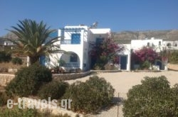 Sunflower studios in Karpathos Rest Areas, Karpathos, Dodekanessos Islands