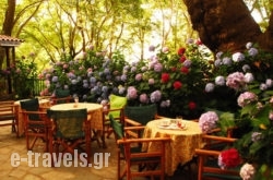 Tasoula Parselia_s __1