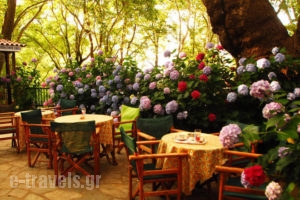 Tasoula Parselia_accommodation_in_Hotel_Aegean Islands_Samothraki_Therma
