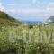 Ionio Studios_accommodation_in_Hotel_Ionian Islands_Lefkada_Lefkada's t Areas