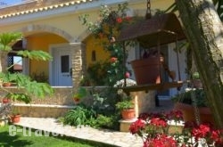 Alex Studios & Apartments in Corfu Rest Areas, Corfu, Ionian Islands