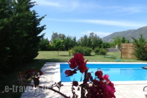 Echinades Resort_accommodation_in_Room_Ionian Islands_Lefkada_Vasiliki