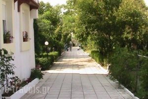 Niki Apartments_best prices_in_Apartment_Macedonia_Halkidiki_Kassandreia
