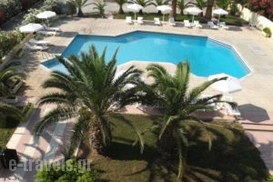 Leonidas Hotel &Amp; Studios_accommodation_in_Hotel_Dodekanessos Islands_Kos_Kos Chora