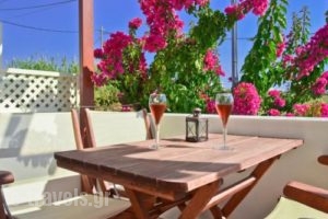 Anthi Studios_holidays_in_Apartment_Cyclades Islands_Naxos_Agia Anna