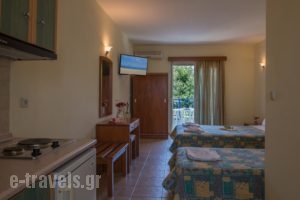 Asteras_best deals_Hotel_Macedonia_Halkidiki_Sarti