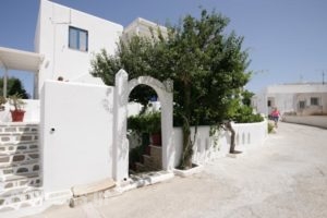 Jasmine_accommodation_in_Hotel_Cyclades Islands_Paros_Paros Chora