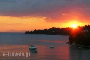 Kolios Beach Seaview Studios_best prices_in_Hotel_Sporades Islands_Skiathos_Skiathosst Areas