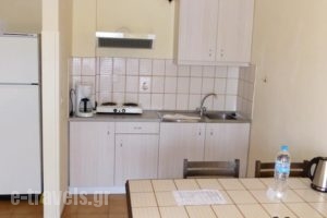 Anthemis Hotel Apartments_lowest prices_in_Apartment_Aegean Islands_Samos_Samosst Areas