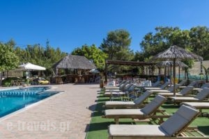 Inea Hotel & Suites_best prices_in_Hotel_Crete_Chania_Galatas