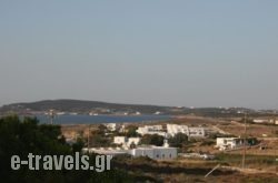 Lazino Studios And Apartments in Piso Livadi, Paros, Cyclades Islands