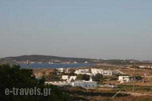 Lazino Studios And Apartments_accommodation_in_Apartment_Cyclades Islands_Paros_Piso Livadi