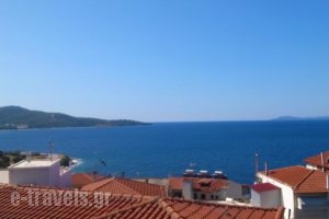 Valachis Central Studios_best deals_Hotel_Macedonia_Halkidiki_Neos Marmaras