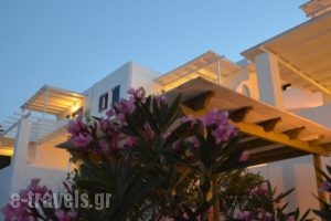 Kostas & Joanna Studios_travel_packages_in_Cyclades Islands_Paros_Piso Livadi