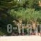 Mezonetes Elena_holidays_in_Hotel_Macedonia_Halkidiki_Nea Moudania